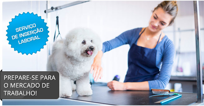 Auxiliar de Veterinária com especialização em Tosquia e Grooming Auxiliar de Veterinária com especialização em Tosquia e Grooming