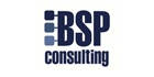 BSP Consulting